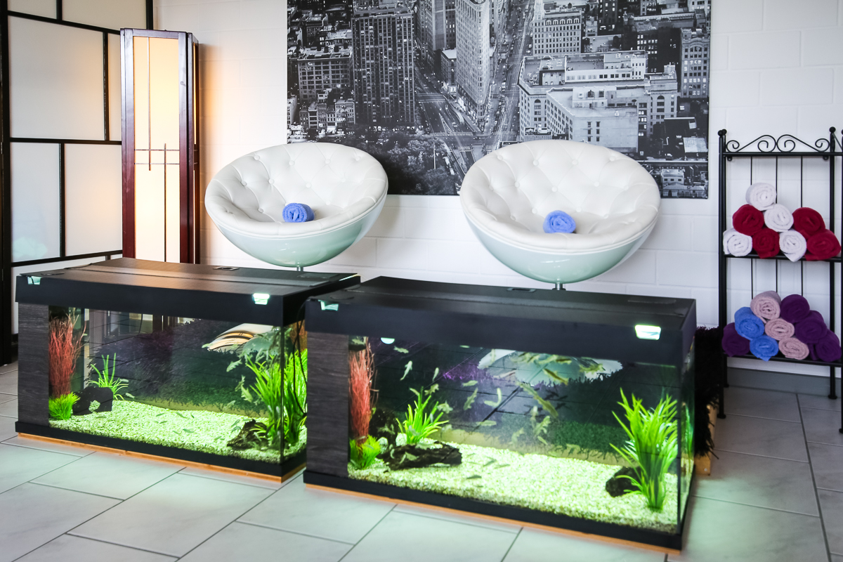 FishSpa Becken